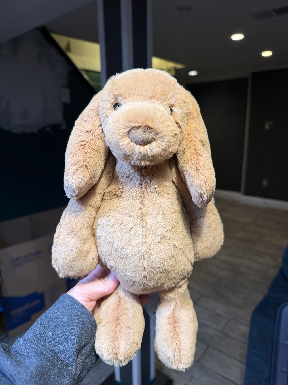 BNWT Toffee Puppy Jellycat